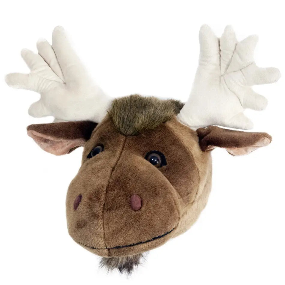 Moose Large Trophy Head
