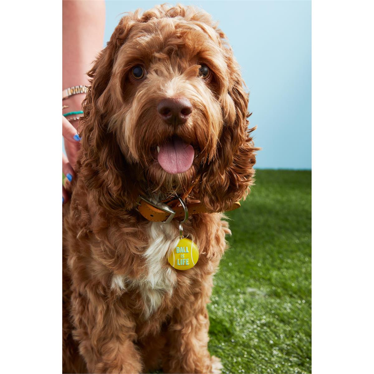 MUD PIE LIGHT UP DOG COLLAR CHARMS