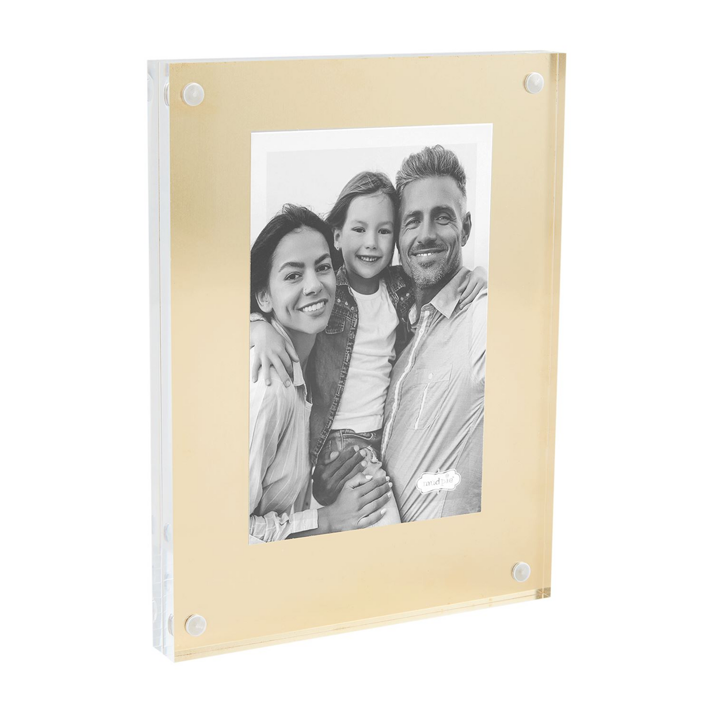 MUD PIE LARGE BRASS ACRYLIC FRAME