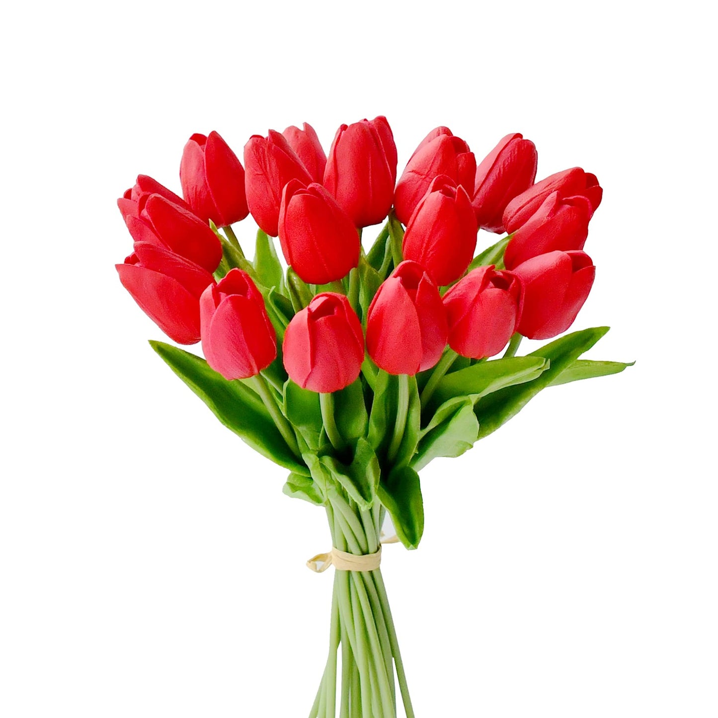 RED TULIPS
