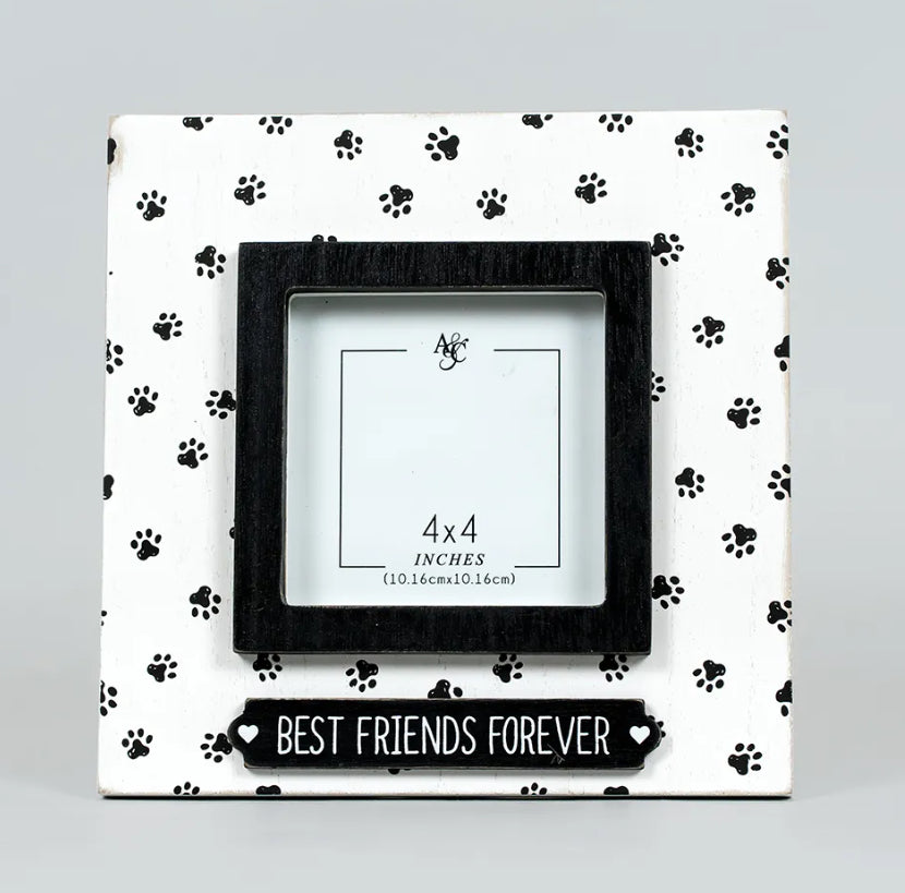 BEST FRIENDS FOREVER