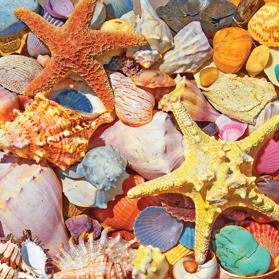 White Mountain Beach Shells 500 Larger Piece Puzzle