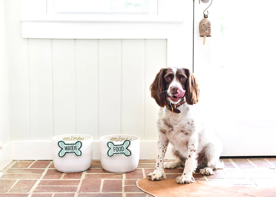 HAPPY EVERYTHING STRIPED BONE MINI ATTACHMENT