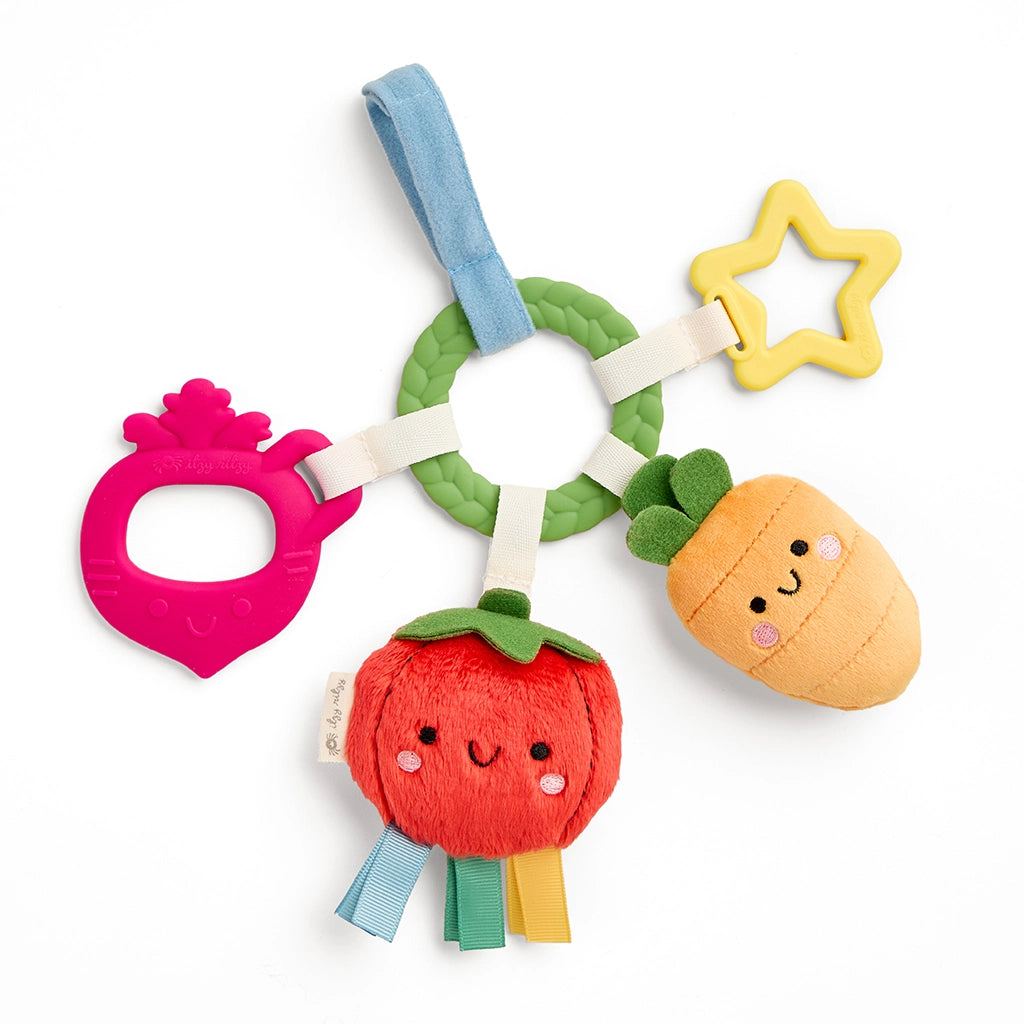 Itzy Ritzy Bitzy Busy Ring™ Teething Activity Toy