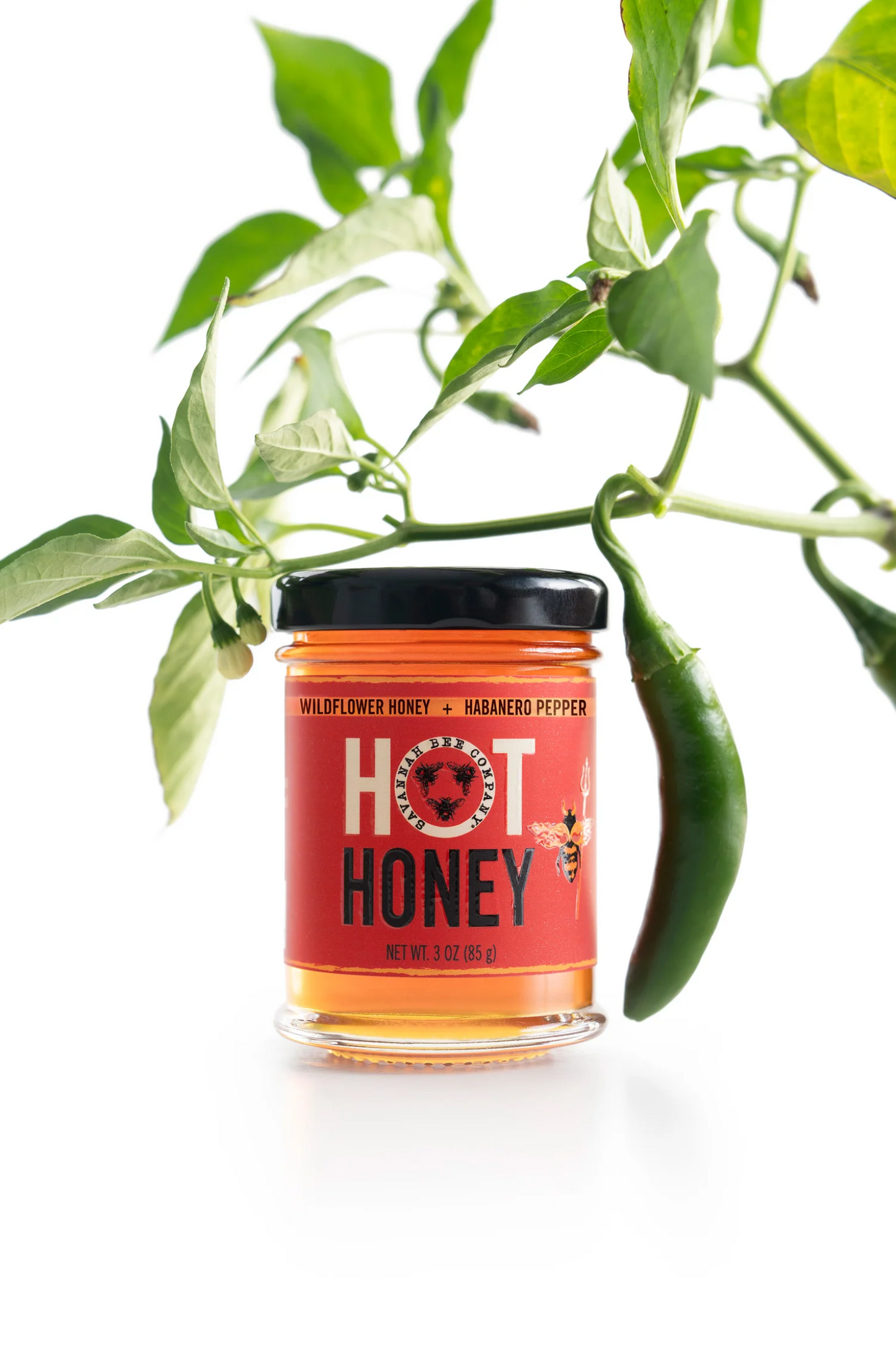 Hot Honey 3 oz