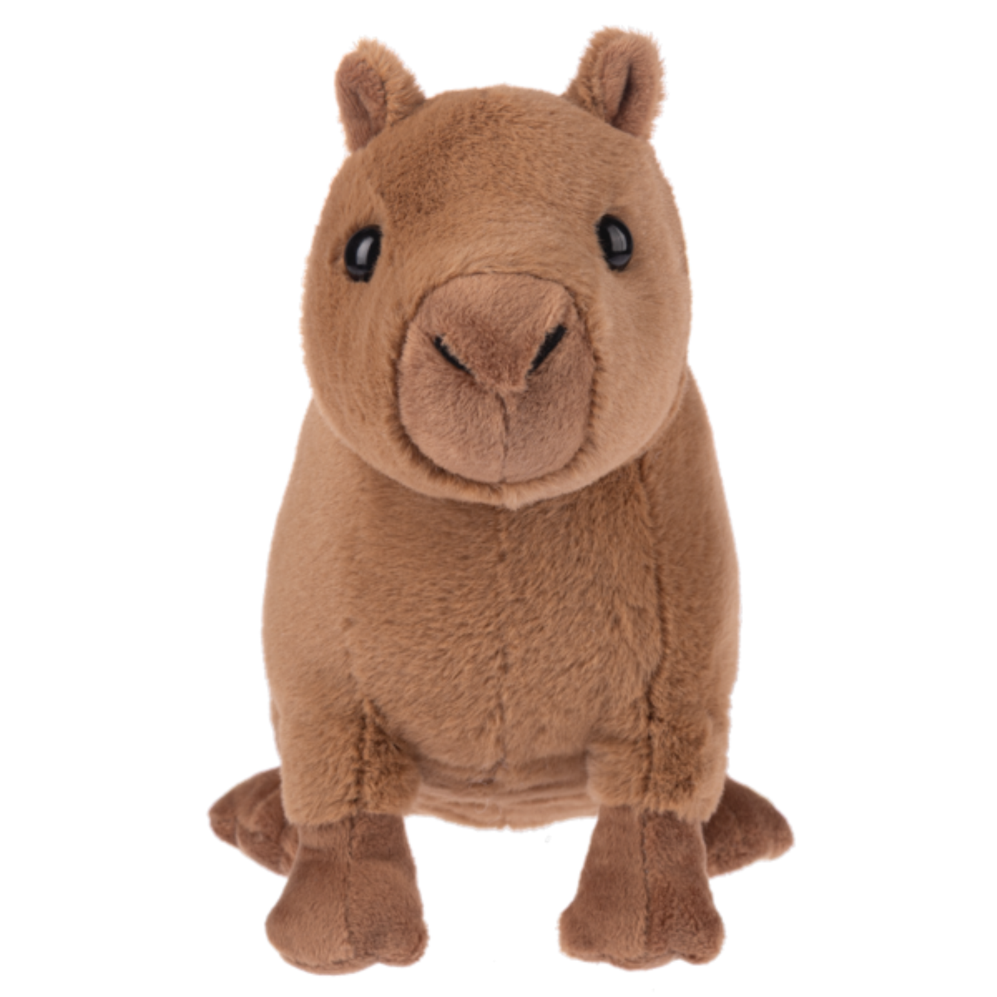 Webkinz