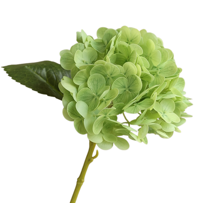 Real Touch Lifelike Hydrangea - Fresh Dark Green