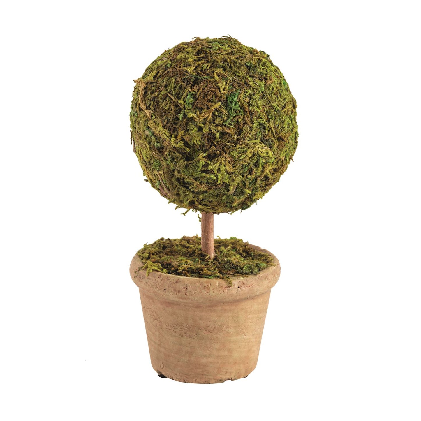 Mud Pie Single Moss Covered Topiary