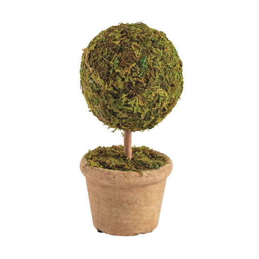 Mud Pie Single Moss Covered Topiary