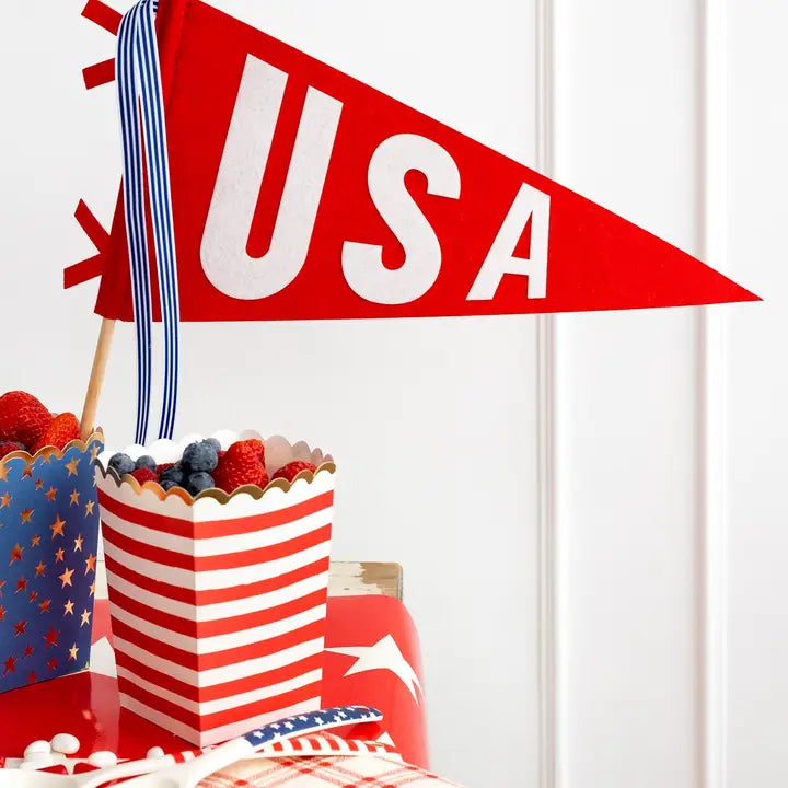 USA FELT PENNANT