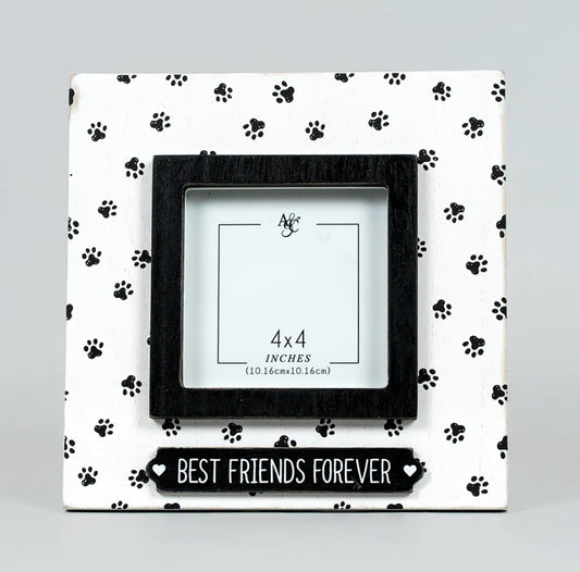 BEST FRIENDS FOREVER