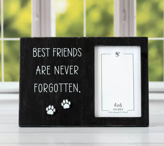 BEST FRIENDS ARE NEVER FORGOTTEN FRAME