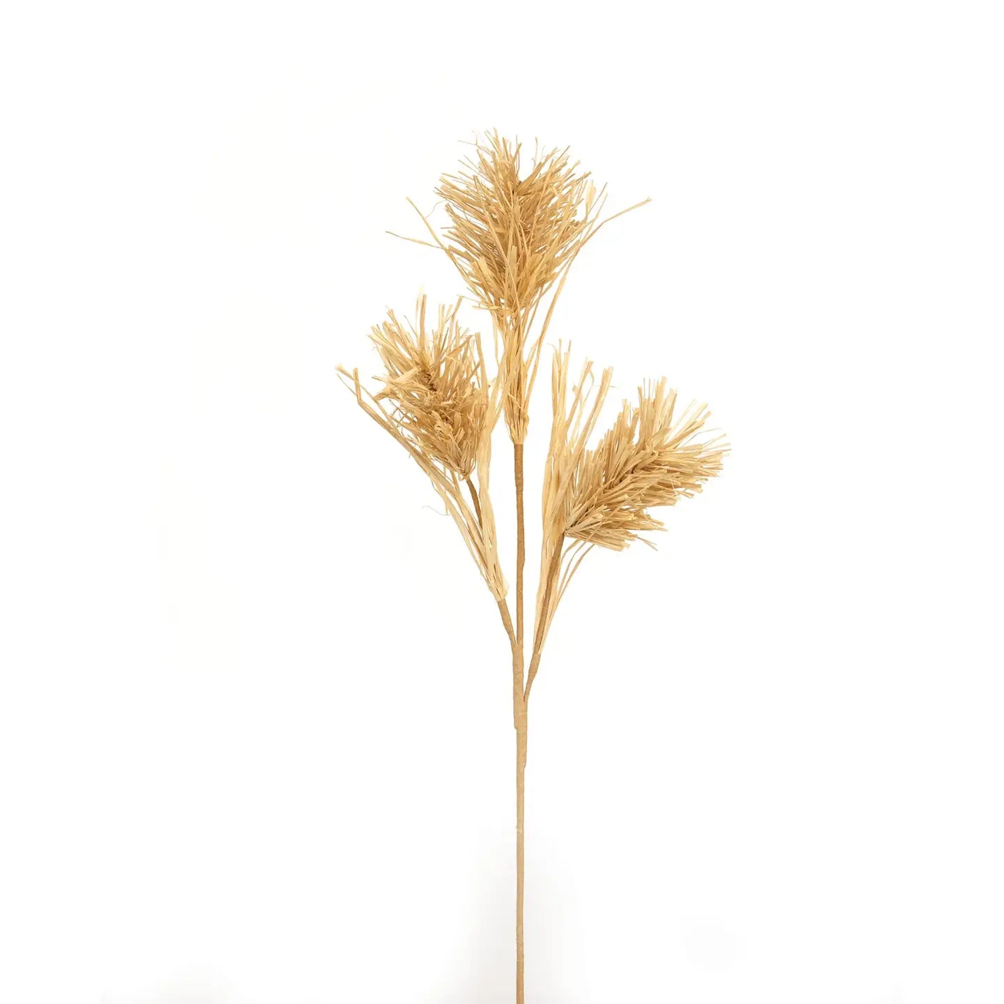 Grassy Bottle Brush Spray