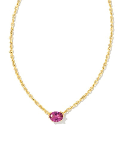 KENDRA SCOTT CAILIN CRYSTAL PENDANT NECKLACE FEBRUARY