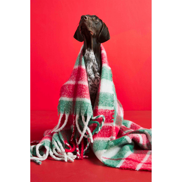 MUD PIE RED AND GREEN BLANKET